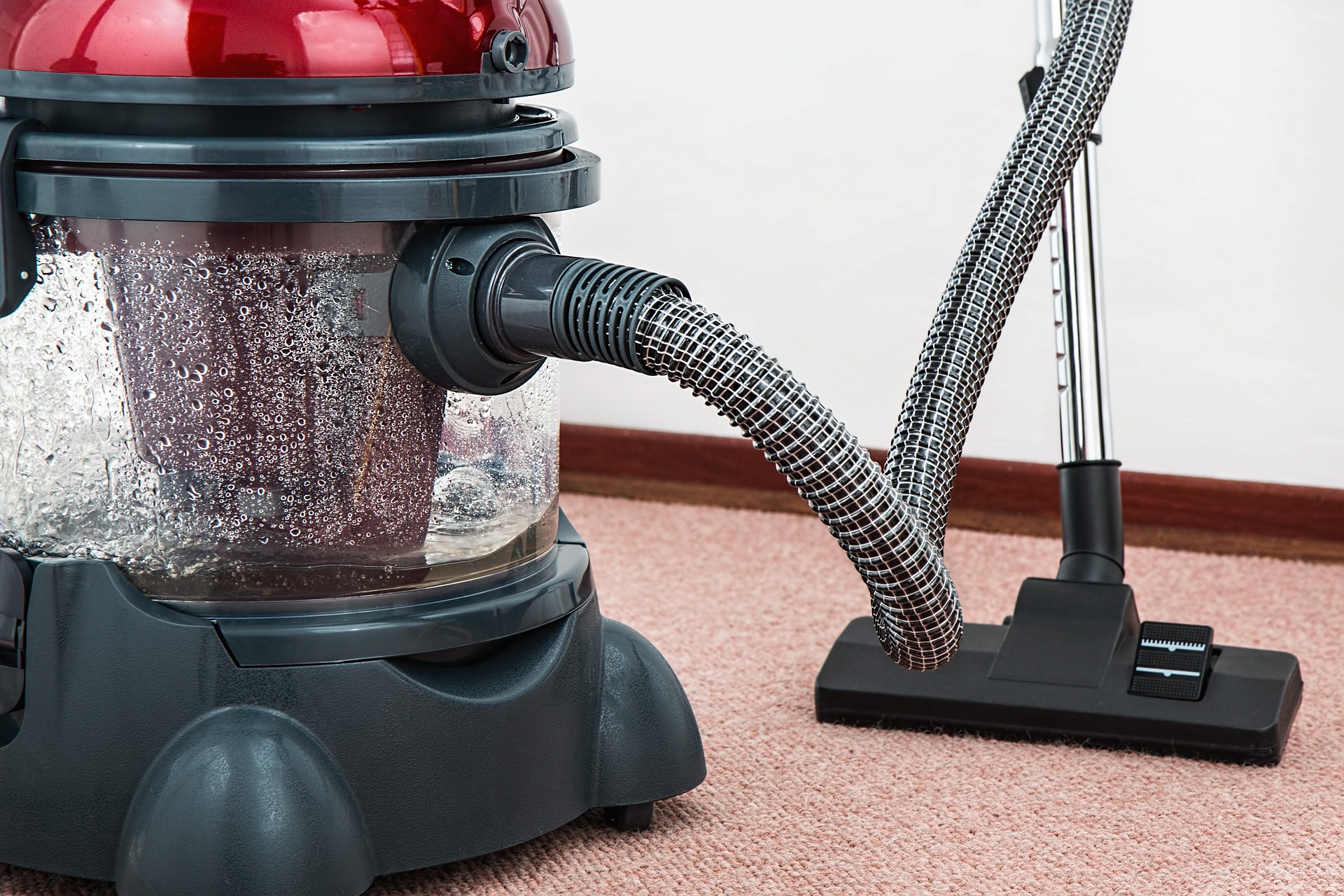 vacuum-cleaner-spider-egg